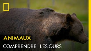 COMPRENDRE  Les ours [upl. by Bray149]