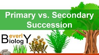 Primary vs Secondary Ecological Succession [upl. by Maxama]