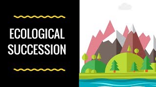 How do ecosystems change over time Ecological Succession [upl. by Abdu418]