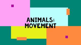 Animals Movements [upl. by Lesh]