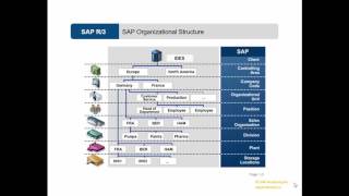 Video 5 Organizational Structure in SAP [upl. by Ainival]