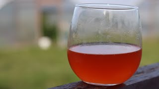 Easy Homemade Natural Wine [upl. by Jowett595]