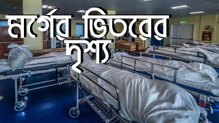 মর্গের ভিতর দেখেছেন কখনও I Inside the Morgue Dhaka Medical College and Hospital [upl. by Vevine]