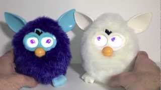 Furby Review and Instructions [upl. by Hartill]