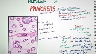 Pancreatitis  Causes Symptoms Treatments amp More [upl. by Aynuat145]