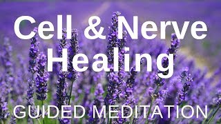 Guided HEAL Meditation  Cell and Nerve Healing Self Healing Meditation [upl. by Veda496]