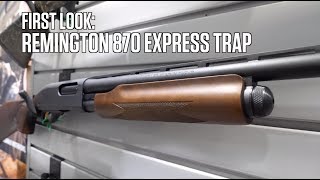 First Look Remington 870 Express Trap [upl. by Alaunnoif18]