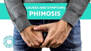 PHIMOSIS  CAUSES and SYMPTOMS [upl. by Yaron]