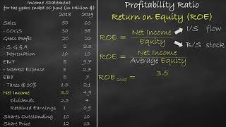 Profitability Ratio  Return on Equity [upl. by Fran]