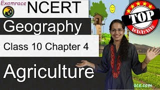 NCERT Class 10 Geography Chapter 4 Agriculture Examrace  Dr Manishika  English  CBSE [upl. by Inama]