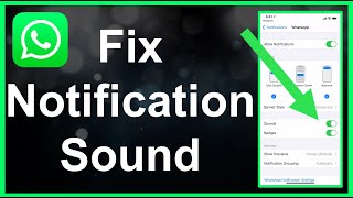 How To Fix WhatsApp Notification Sound EASY [upl. by Gordan]