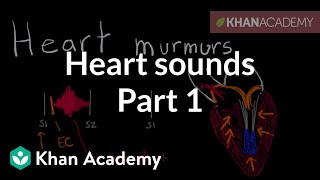 Systolic murmurs diastolic murmurs and extra heart sounds  Part 1  NCLEXRN  Khan Academy [upl. by Anaiviv]