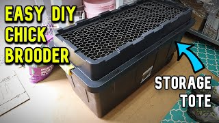 Easy DIY Chick Brooder YOU CAN BUILD [upl. by Market]