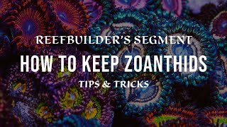 Zoanthids  How to Keep and Growing using Tips and Tricks Reefbuilders Video Segment [upl. by Naujek]