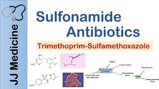 How and When to use Augmentin Amoxicillin with Clavulanic acid  Doctor Explains [upl. by Markowitz]