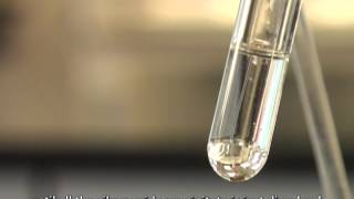 Using Tollens Reagent to Test for Aldehydes Silver Mirror Test [upl. by Tonl365]