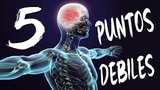 😱 CUALES son los PUNTOS DEBILES del cuerpo humano  5 PUNTOS VITALES para Defensa Personal 🔊 [upl. by Acirderf]