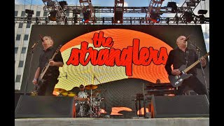 The Stranglers Full Set Punk Rock Bowling 2019 [upl. by Kramlich]