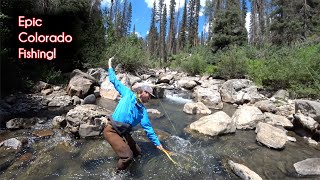 The TOP 10 fishing spots in Colorado  McFly Angler Fly Fishing [upl. by Dlarrej]