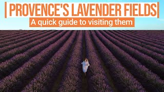 A quick guide to visiting Provences blooming lavender fields [upl. by Alicul427]