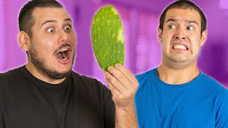 NOPALES  Mexican Survival Guide [upl. by Nylear659]