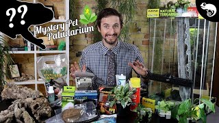 DIY WATERFALL PALUDARIUM For MYSTERY PET From Joshs Frogs [upl. by Atiek]