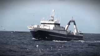 South African Deep Sea Trawl Fishery and MSC [upl. by Meave694]