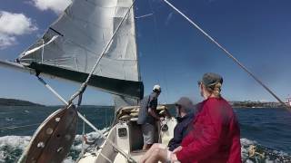 FOLKBOAT SAILING SYDNEY HARBOUR [upl. by Lytsirhc]