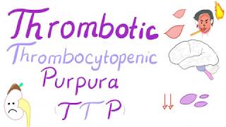 Thrombotic Thrombocytopenic Purpura TTP [upl. by Miki101]