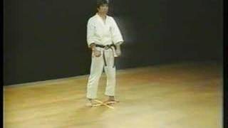 Heian Sandan  Shotokan Karate [upl. by Laerol]