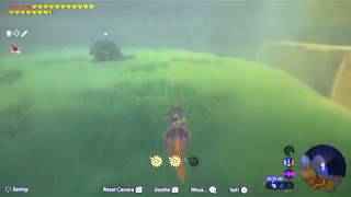 BotW108  Getting To Gerudo Canyon Stable Made Easy amp Kay Noh Shrine Location [upl. by Marabelle]