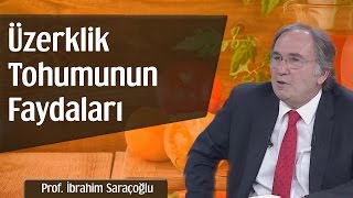 Üzerklik Tohumunun Faydaları  Prof İbrahim Saraçoğlu [upl. by Natsuj]