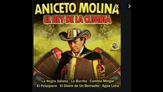 MIX DE ANICETO MOLINA [upl. by Yenrab801]