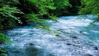 The Mountain River Flowing Sound Blue Water Nature Sounds Forest River White Noise for Sleeping [upl. by Jenei295]