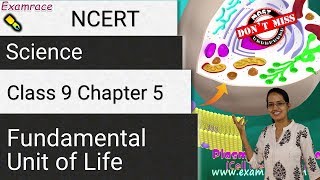 NCERT Class 9 Science Chapter 5 Fundamental Unit of Life  CBSE  English NSONTSENSTSE [upl. by Land362]