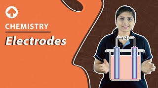 Electrodes  Chemistry [upl. by Roderich]