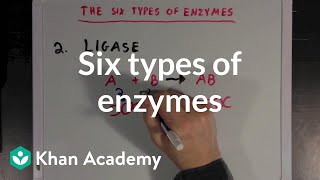 Six types of enzymes  Chemical Processes  MCAT  Khan Academy [upl. by Nussbaum]