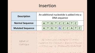 Higher Biology  16 Mutations [upl. by Dorca745]