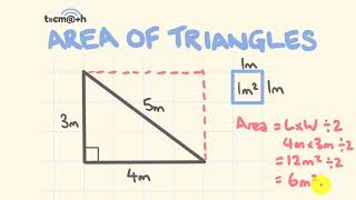 Area of Triangle [upl. by Enialem]