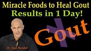 Miracle Foods to Heal Gout  RESULTS IN 1 DAY Dr Alan Mandell DC [upl. by Nairde]