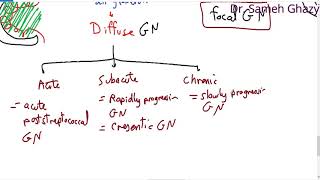 systemic pathology 48  Urinary system 2  nephritic glomerulonephritis  DR SAMEH GHAZY [upl. by Nicks707]