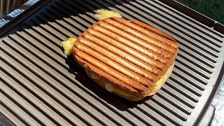 Turkey Panini Sandwich Recipe  How To Use Panini Press Sandwich Maker Machine [upl. by Stoffel129]