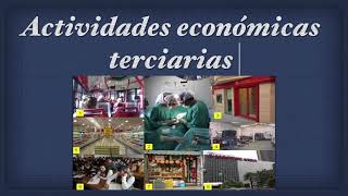 Actividades económicas terciarias [upl. by Ostap666]