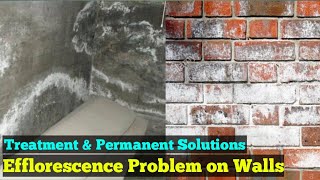 Efflorescence Effect amp Treatment  How to Remove Efflorescence from Brick [upl. by Hannie]