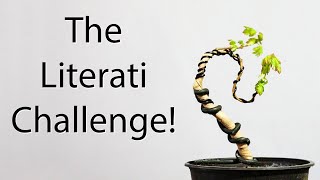 The Literati Challenge [upl. by Gildus300]