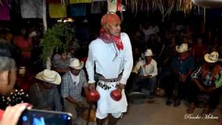 Danza De Pascola y Venado Fiestas de San Juan [upl. by Alyahsat]