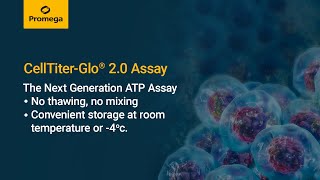 CellTiter Glo® 2 0 Cell Viability Assay [upl. by Finella]