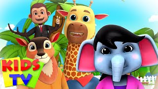 Zoo Song  We Are Going To The Zoo  Animal Sound Song  Junior Squad  Kids Tv [upl. by Adnuhsat]