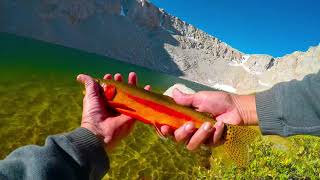 Golden Trout on Jigs at Cottonwood Lakes 4 amp 5 John Muir Wilderness Eastern Sierra [upl. by Gnuhn]