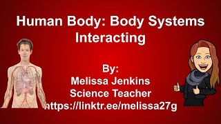 Human Body Body Systems Interacting [upl. by Aihsal974]